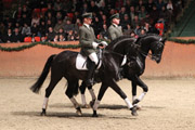 Sir Galanto II (Stedinger x De Niro) mit Roland Volkmann und Count Up (Conteur x Don Primero) mit Michael Thieme.